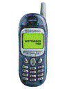 Best available price of Motorola T190 in Botswana