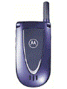 Best available price of Motorola V66i in Botswana